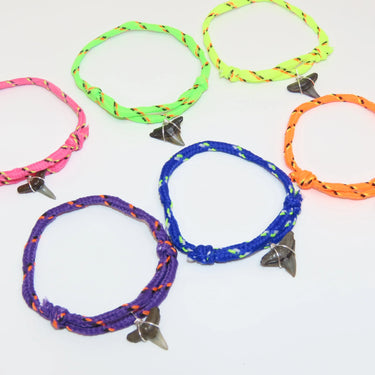 6 Shark Tooth Bracelet for Boys, Girls, Shark Themed Party Favors for Kids, Birthday Party Favors for Kids, Ocean Themed, Neon Bracelets