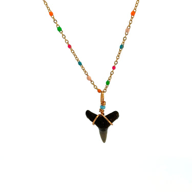 Rainbow Enamel Satellite Shark Tooth Necklace